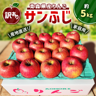 【訳あり】青森県産りんご「サンふじ家庭用」約5kg　産地直送!【配送不可地域：離島】【1321109】