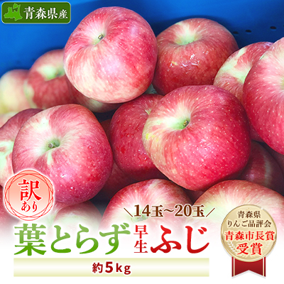 [訳あり] りんご 葉とらず早生ふじ 家庭用 約5kg (14玉〜20玉)[配送不可地域:離島・沖縄]