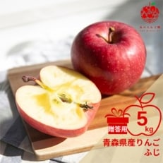 りんご ふじ 約5kg (14～20玉) 青森県産 贈答用【先行受付 12月より順次発送】【配送不可地域：離島】【1230241】