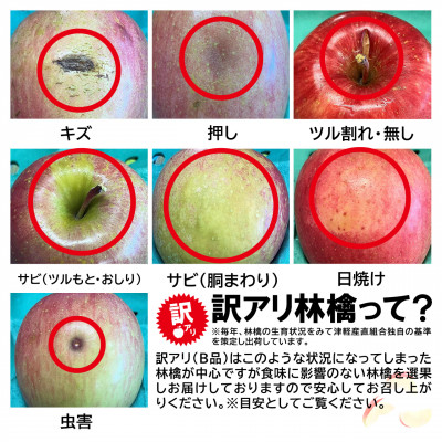 令和6年1月中旬より発送 訳アリ 葉とらずサンふじ5キロ箱 14～20玉 津軽産直組合直送!【配送不可地域：離島・沖縄】【1288123】 |  青森県青森市 | JRE MALLふるさと納税