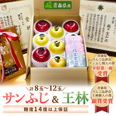 「サンふじ」約1.5kg＆「王林」約1.5kg・糖度14度以上保証・特選贈答用りんご【配送不可地域：離島】【1111236】