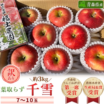 「葉取らず千雪」約3kg・訳あり家庭用りんご【配送不可地域：離島・沖縄】【1377377】