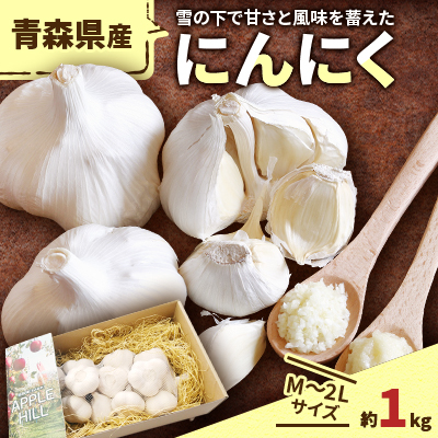 青森県産にんにく　M～2L約1kg【1075555】