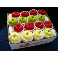 【毎月定期便】青森りんご 家庭用約5kg 全3回【配送不可地域：離島】【4003382】