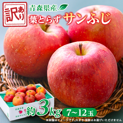 【訳ありりんご】葉とらずサンふじ約3kg(お試し用)【配送不可地域:離島・沖縄】【1466365】