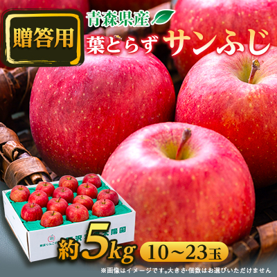 【贈答用にもどうぞ】 青森市産りんご「葉取らずサンふじ」約5kg【配送不可地域：離島・沖縄】【1466367】