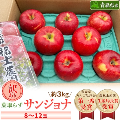「葉とらずサンジョナ」約3kg・訳あり家庭用りんご【配送不可地域：離島・沖縄】【1491235】