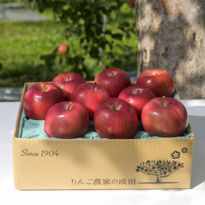【百年続く青森のりんご農家直送】葉とらずサンふじ  約3kg 贈答用【12月から発送開始】【配送不可地域:離島】【1506061】