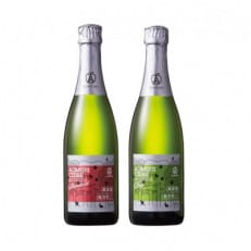 A-FACTORY アオモリシードル520ml 2種セットA(スタンダード&ドライ)【1502820】