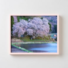 GOSHIKI FRAME【春桜・Sサイズ】(町産ヒノキのフォトフレーム)【1297442】