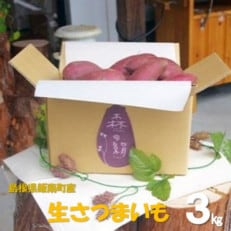 高糖度サツマイモ「森の絹」生イモ(3kg)【1560146】