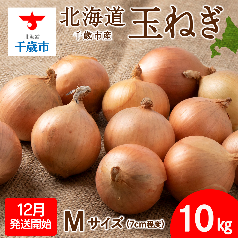 【先行予約】玉ねぎ 10kg Mサイズ 北海道 千歳市産 甘い たまねぎ 野菜 冷蔵 タマネギ 【假屋フードブリッジ】