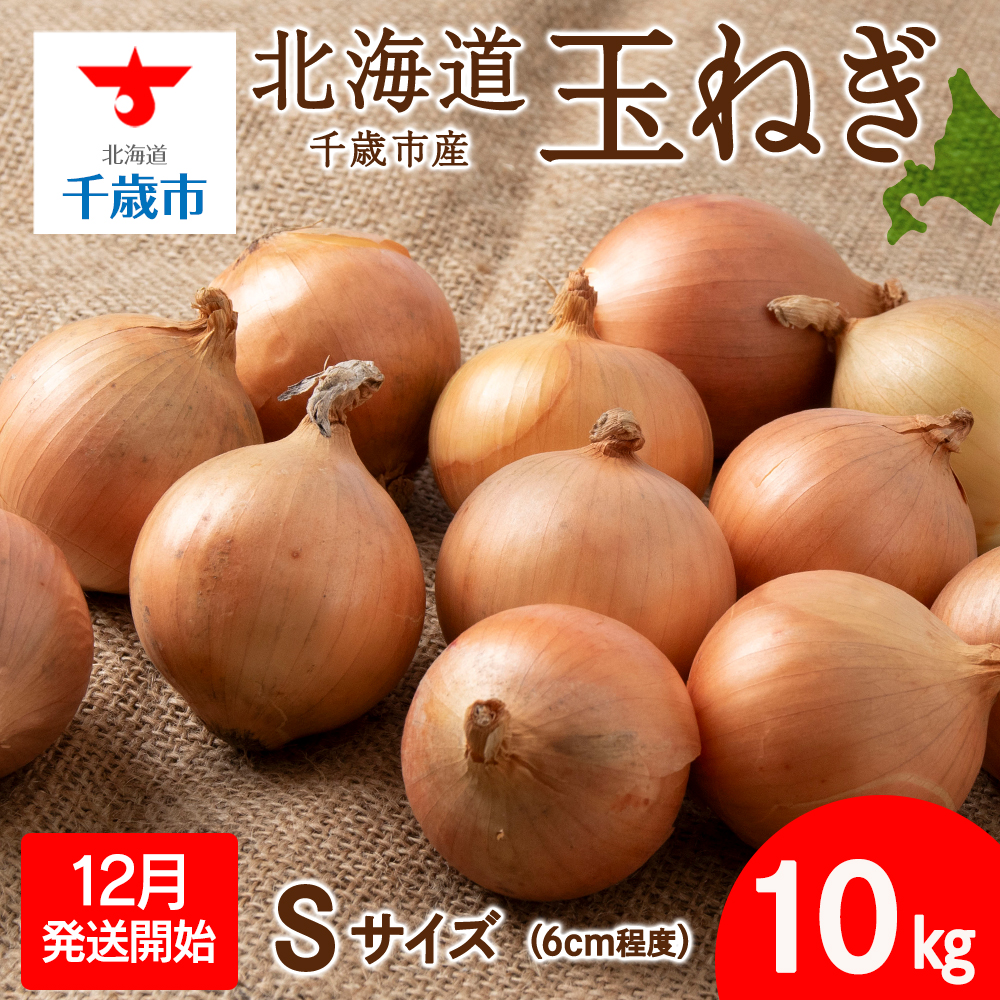 【先行予約】玉ねぎ 10kg Sサイズ 北海道 千歳市産 甘い たまねぎ 野菜 冷蔵 タマネギ 【假屋フードブリッジ】