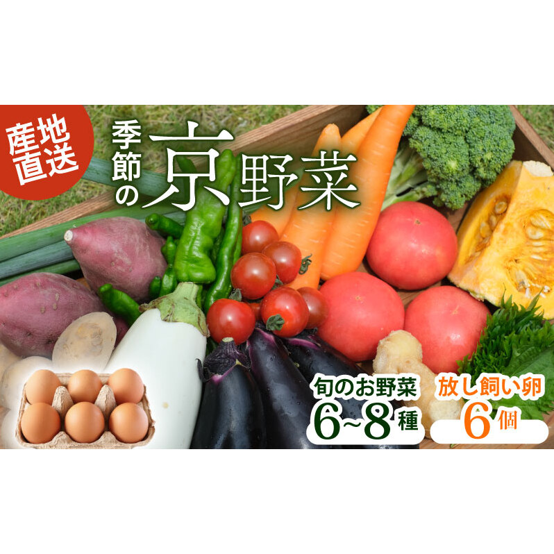 野菜セット ネラの卵6個入り
