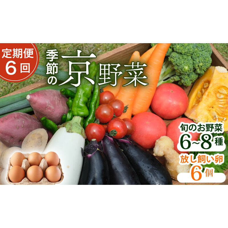 【定期便6回】野菜セット ネラの卵6個入り