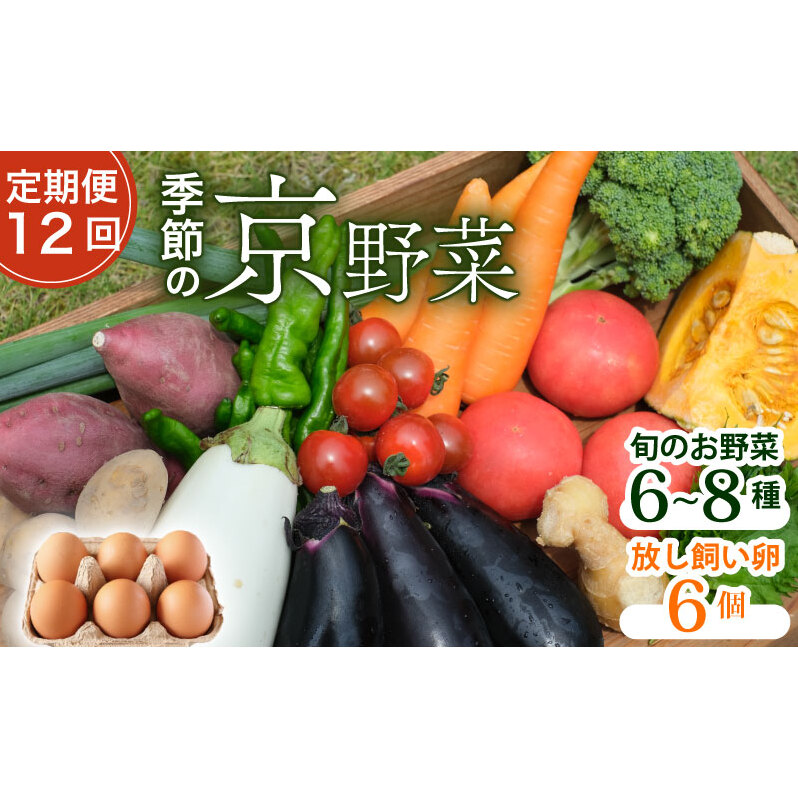 【定期便12回】野菜セット ネラの卵6個入り