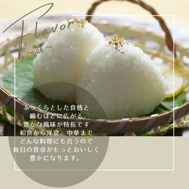 令和7年産 京都丹波産 キヌヒカリ 10kg 白米 | 京都府南丹市