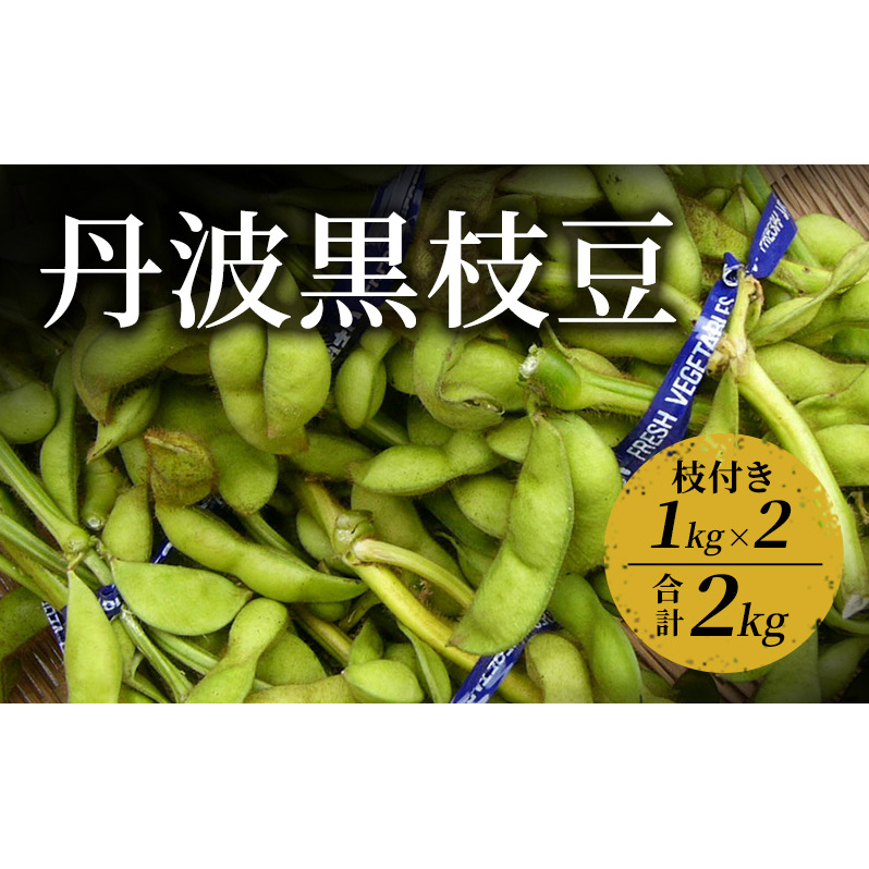丹波黒枝豆 1kg(枝付き)×2 | 野菜 えだまめ えだ豆 おつまみ 京都府 南丹市