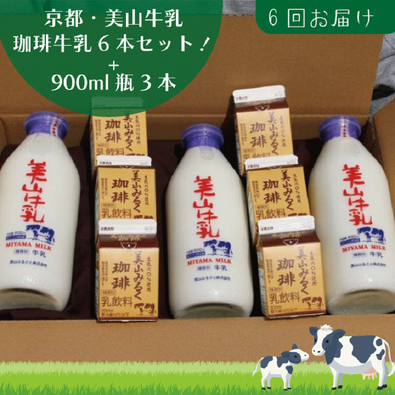 牛乳 定期便 6ヶ月 京都 美山牛乳 瓶 900ml ×3本 珈琲牛乳 200ml ×6本 詰め合わせ セット 美山町 お取り寄せ コーヒー牛乳 パック 定期 お楽しみ 6回 ※北海道・沖縄・離島への発送不可 