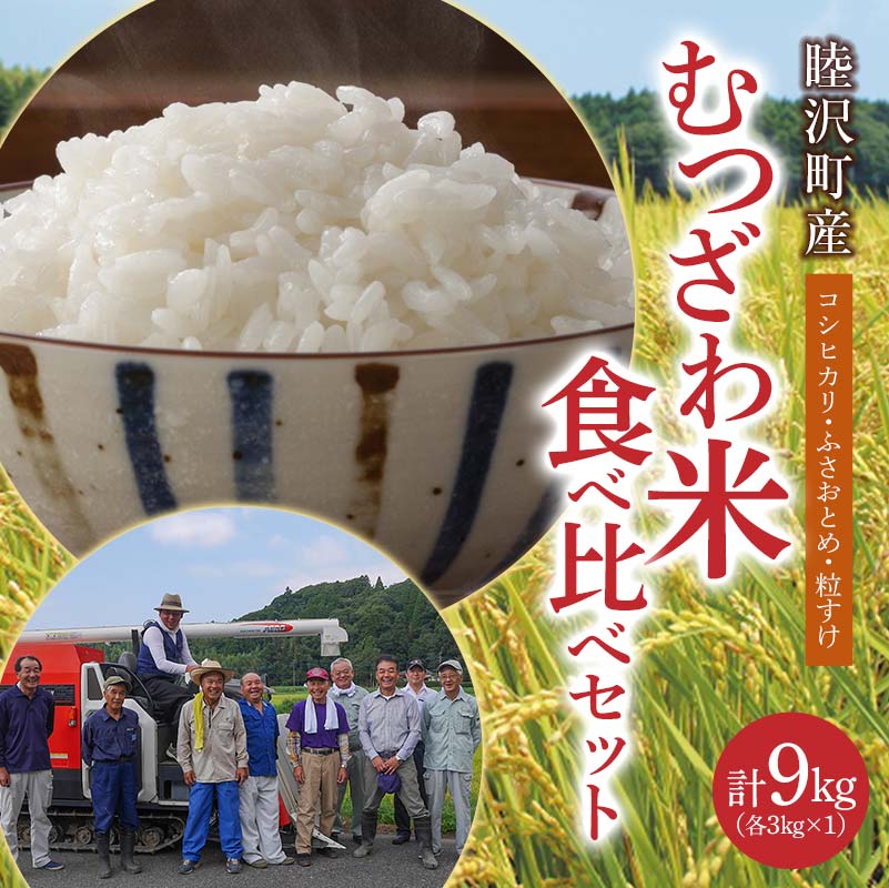 数量限定 令和7年 新米 むつざわ米食べ比べセット9kg(コシヒカリ・ふさおとめ・粒すけ 各3kg×1袋) 先行予約 睦沢町 産 精米 国産 千葉県 白米 ごはん ご飯 お米 ライス 【岩井第二営農組合】 F21G-275