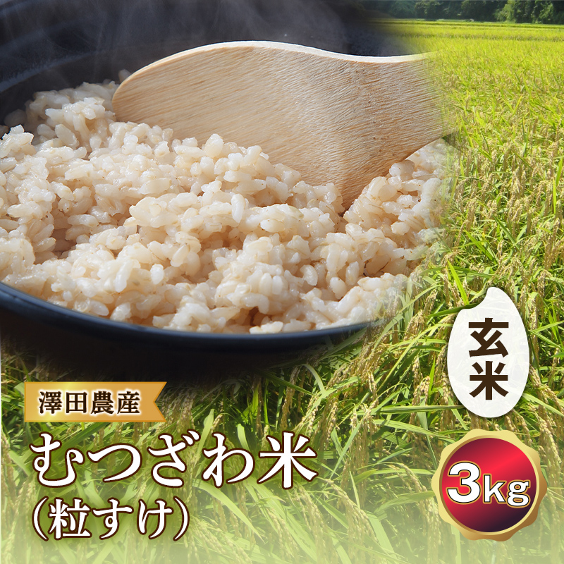 令和5年産米 むつざわ米 （粒すけ） 玄米 3kg 澤田農産 F21G-192