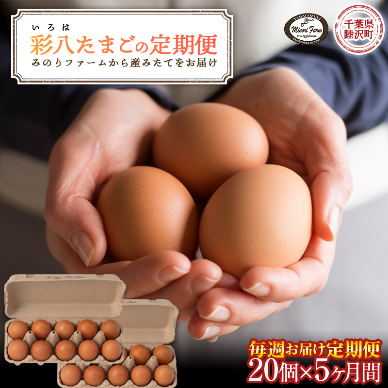 【みのりファーム】毎週お届け!「彩八(いろは)」たまご 20個 (5か月間 毎週 計20回)千葉県 睦沢町 卵 F21G-244