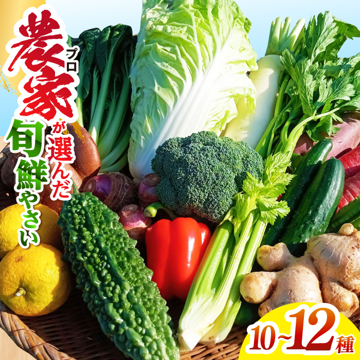 高知県産 土佐季節の野菜詰め合せセット [香稜苑] [ATBQ001]