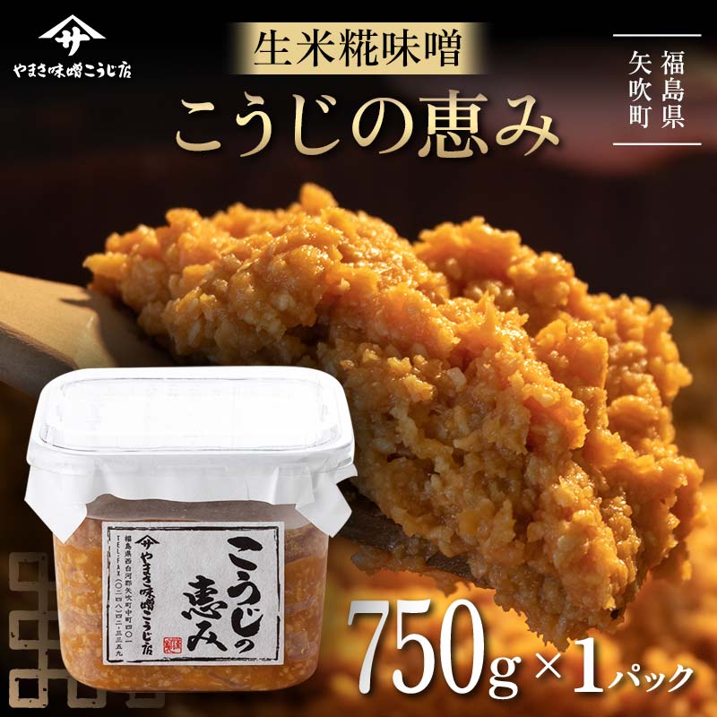 糀が生きてる生米糀味噌「こうじの恵み」750g F6U-018
