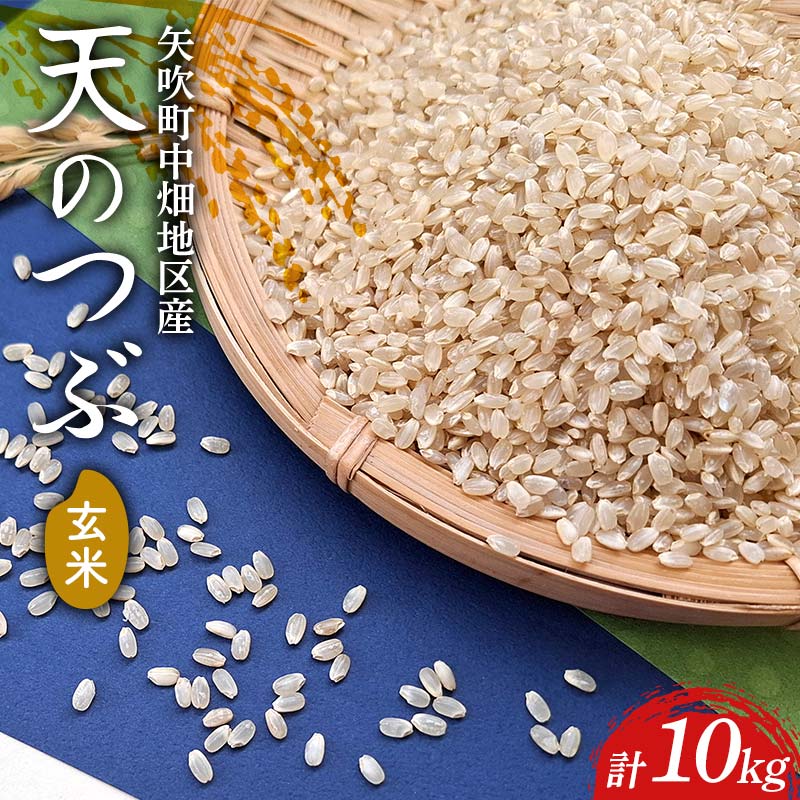 【令和7年産】矢吹町中畑地区産天のつぶ 玄米10kg(5kg×2袋) F6U-266