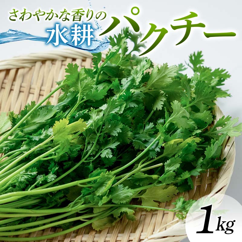 さわやかな香りの水耕パクチー 1kg F6U-277