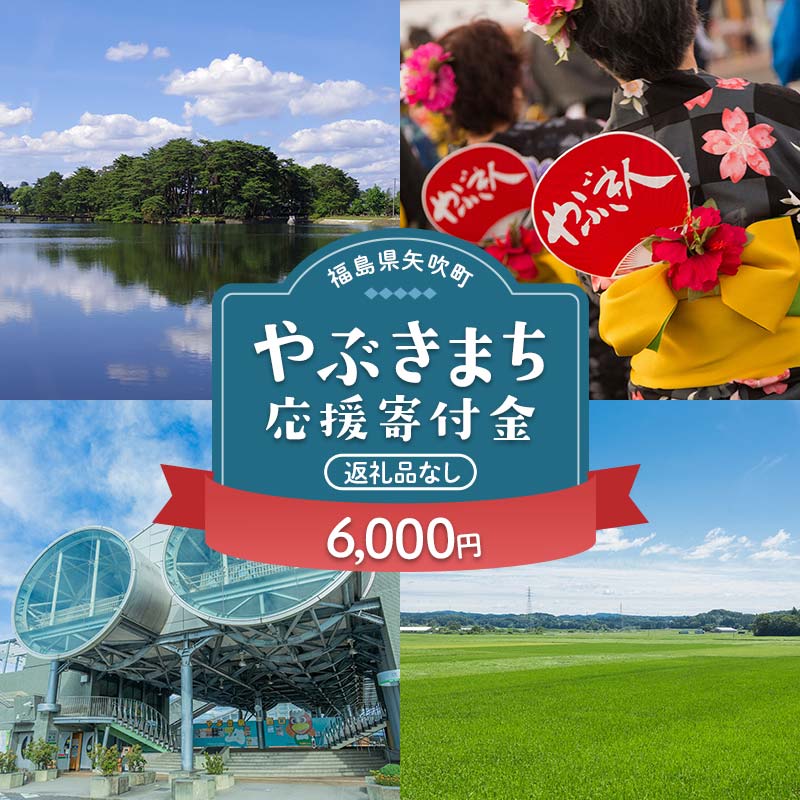 矢吹町 やぶきまち応援寄附金 6,000円 【返礼品なし】 F6U-315