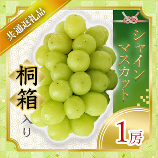 ＜2025年7月より順次発送予定＞シャインマスカット桐箱入り1房(県内共通返礼品:かすみがうら市産) (BR066)