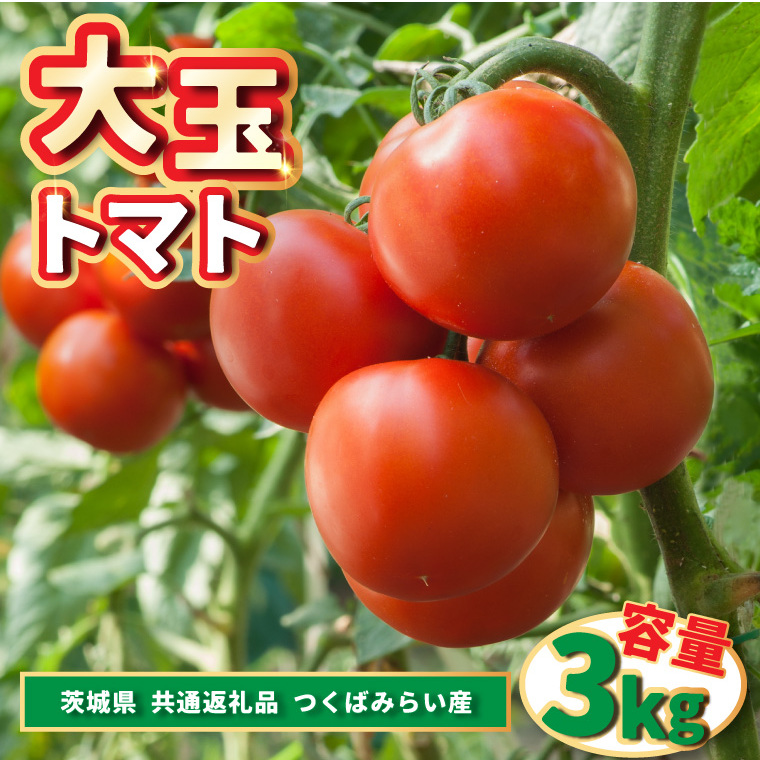 大玉トマト 3kg (県内共通返礼品:つくばみらい市産) (BR086)
