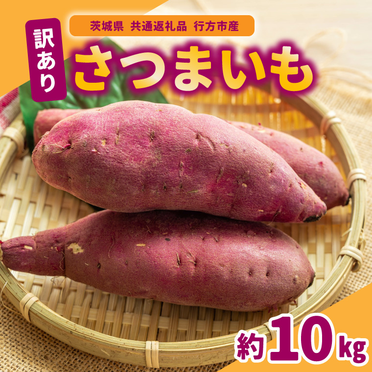 訳ありさつまいも 10kg 県共通返礼品 行方市産 (BR148)