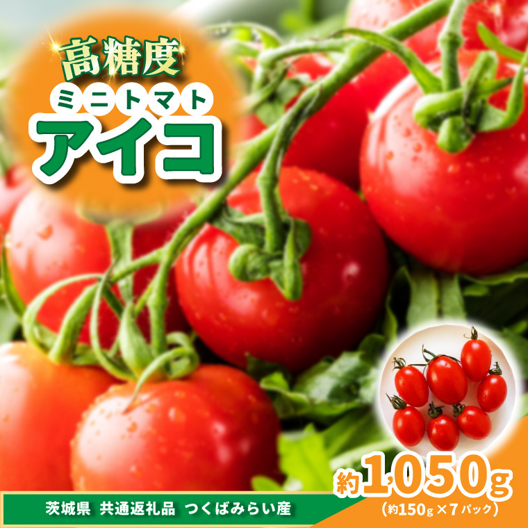 高糖度ミニトマト アイコ 約150g×7pc 県内共通返礼品つくばみらい市産 (BR173)