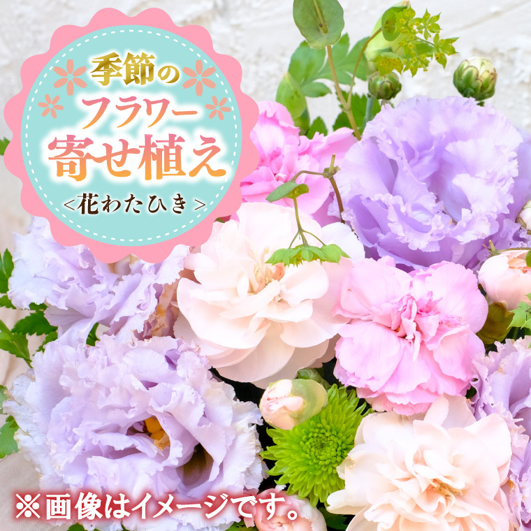 季節の寄せ植え<花わたひき> (BY002)