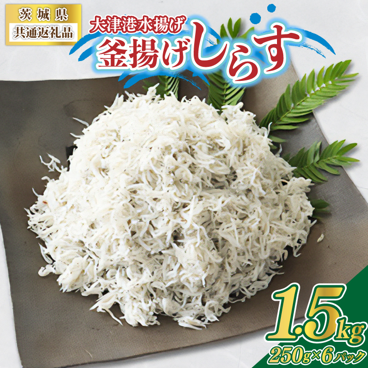 ＜茨城県共通返礼品＞大津港水揚げの釜揚げしらす 1.5kg(250g×2パック×3箱)(北茨城市)(BC010)