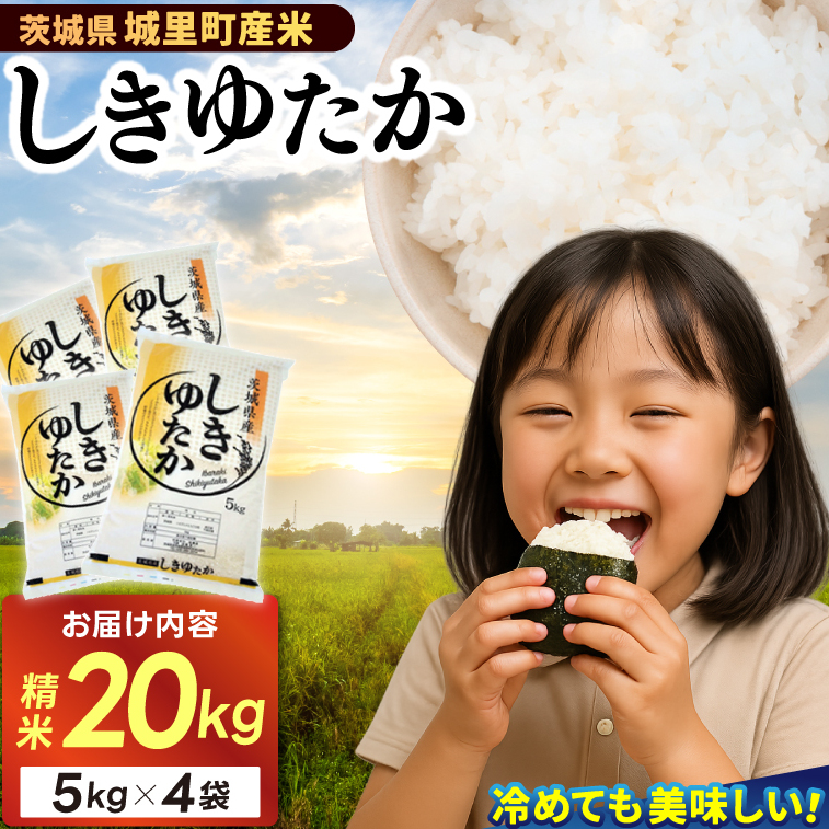 精米 20kg (5kg×4袋) しきゆたか【令和7年産】お米 米 ご飯 城里町 桂農産 シキユタカ【配送不可地域:離島】 (AX004)