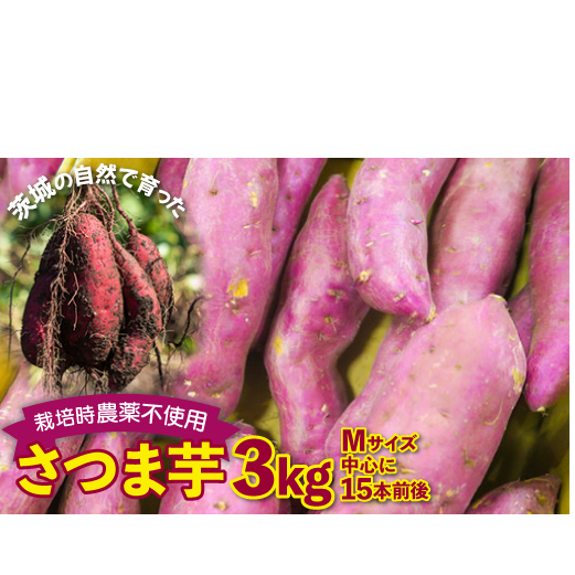 さつまいも 紅はるか 栽培期間中農薬不使用栽培 3kg (BJ008)