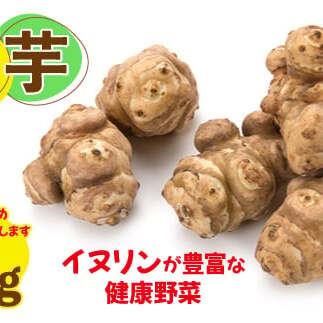 菊芋(きくいも)健康野菜5kg (BJ016)