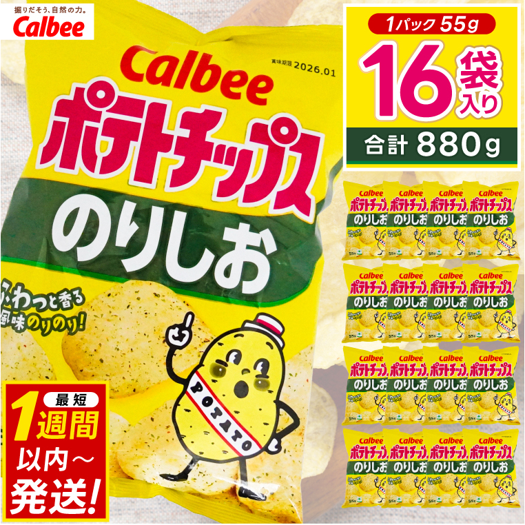 ポテトチップス カルビー 「のりしお」16袋(55g×16袋)1ケース 総計880g【ポテチ Calbee のり塩 のり しお セット 菓子 ポテト チップス スナック おやつ じゃがいも ジャガイモ お取り寄せ まとめ買い 詰め合わせ 詰合せ 人気 送料無料】(BG028)