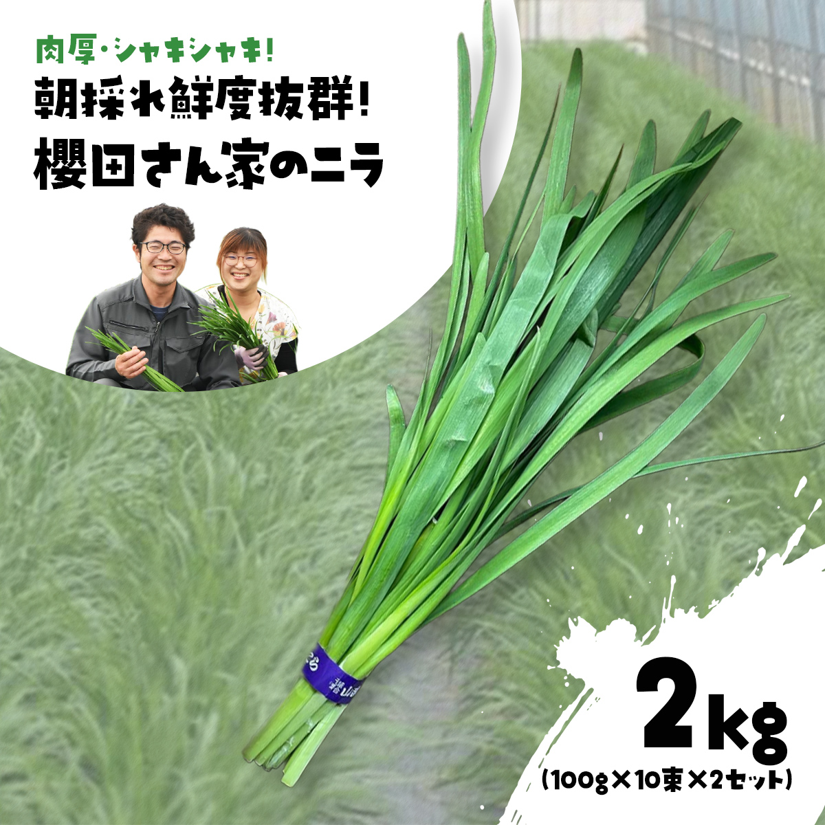 【先行予約】【12月から発送】肉厚・シャキシャキ! 朝採れ鮮度抜群! 櫻田さん家のニラ 2kg(100g×10束×2セット) SMCS002