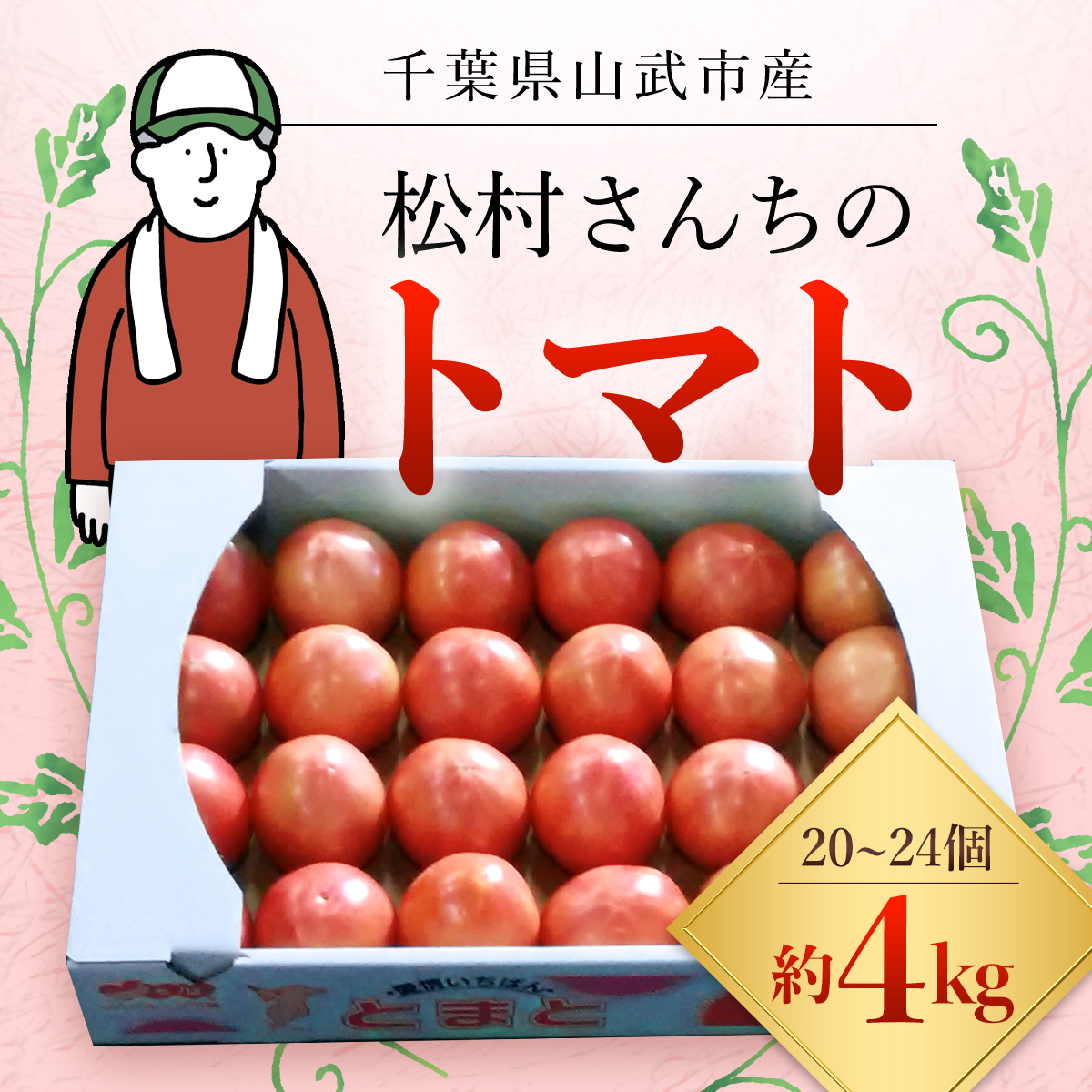 [先行予約/10月中旬発送開始]松村さんちのトマト1箱(20〜24個・約4kg)/ トマト とまと 野菜 夏野菜 先行予約 千葉県 山武市