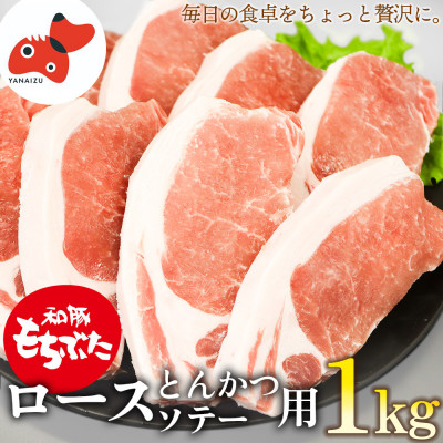 ジューシー! ブランド豚 「和豚もちぶた」ロースとんかつ・ソテー用1kg【配送不可地域:離島】【1370786】