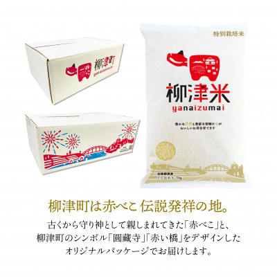 令和6年産 先行受付 R7.1月より順次発送】会津柳津産「柳津米」特別栽培米 10kg【1470604】 福島県柳津町 JRE MALL ふるさと納税