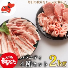 【ブランド豚】柔らかジューシーな肉質!「和豚もちぶた」4種セット 2kg【配送不可地域:離島】【1497925】