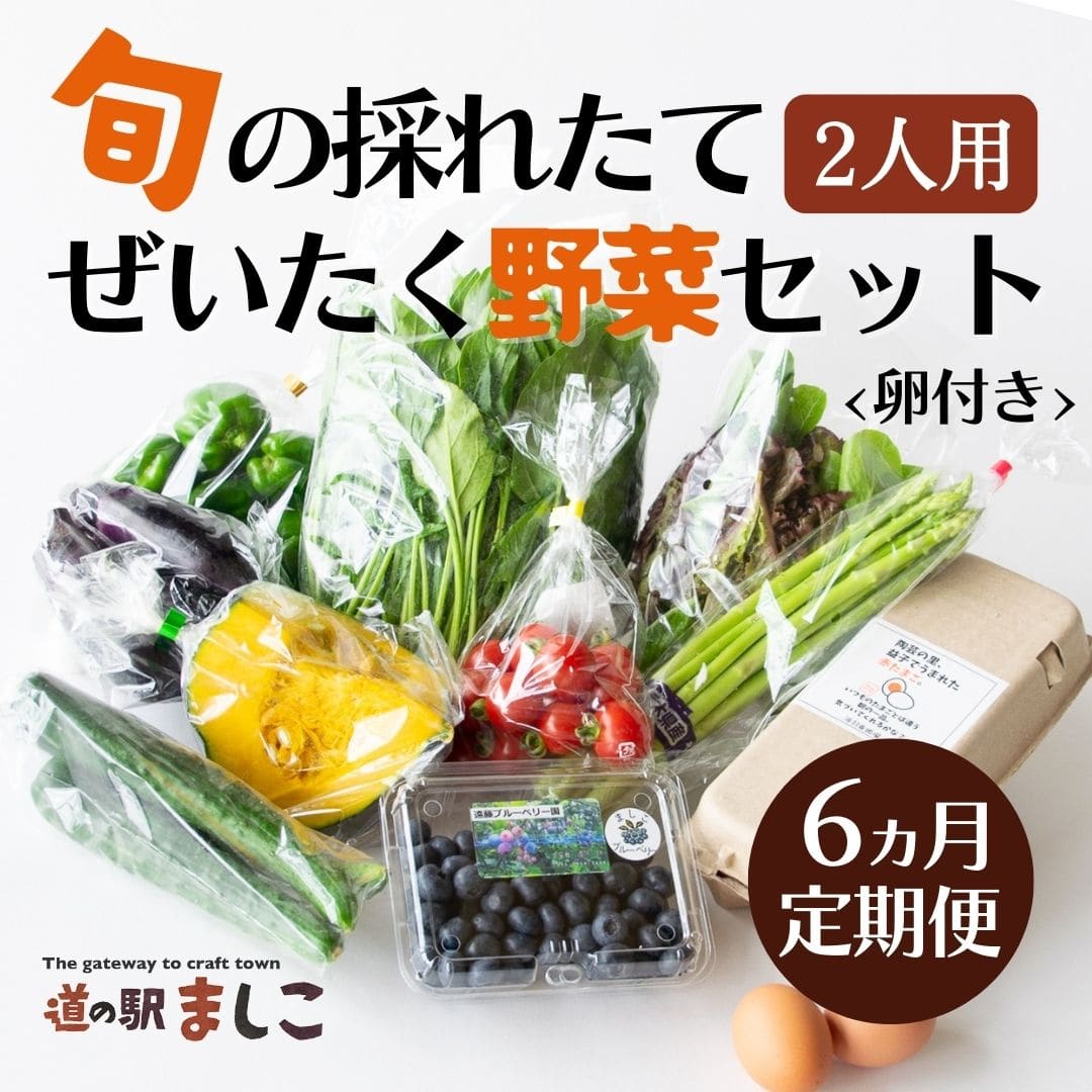 AA034＜6か月定期便＞旬の採れたて贅沢な野菜セット（卵付き）2人用