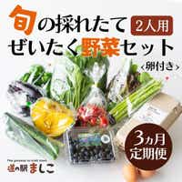 AA002[3か月定期便]旬の採れたて贅沢な野菜セット(卵付き)2人用