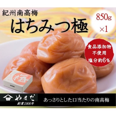 紀州南高梅はちみつ極 塩分約6%(850g)【1596209】