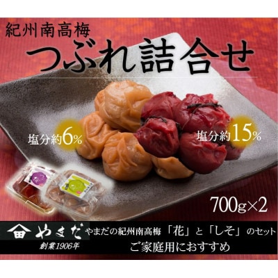 紀州南高梅 つぶれ梅 うす塩としそ漬の詰合せ【1597855】